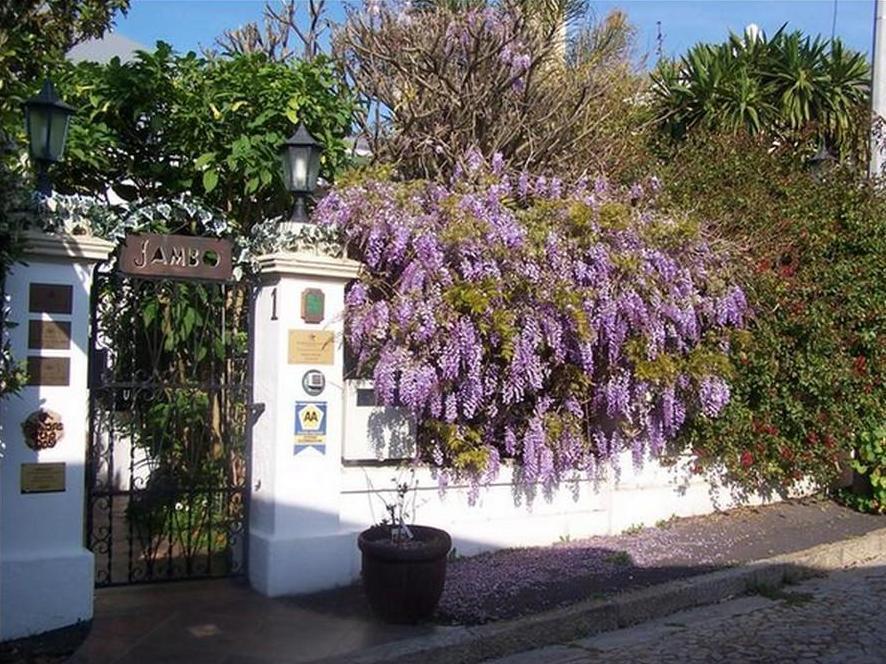 Jambo Guest House Cape Town Luaran gambar