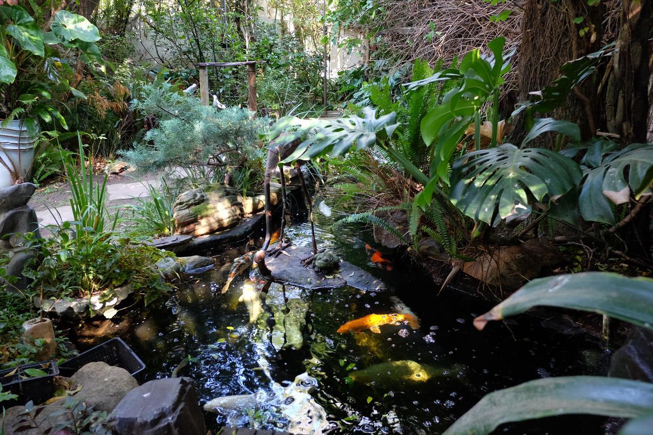 Jambo Guest House Cape Town Luaran gambar